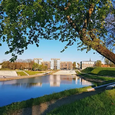 No.1 Link-to-happiness Klaipėda